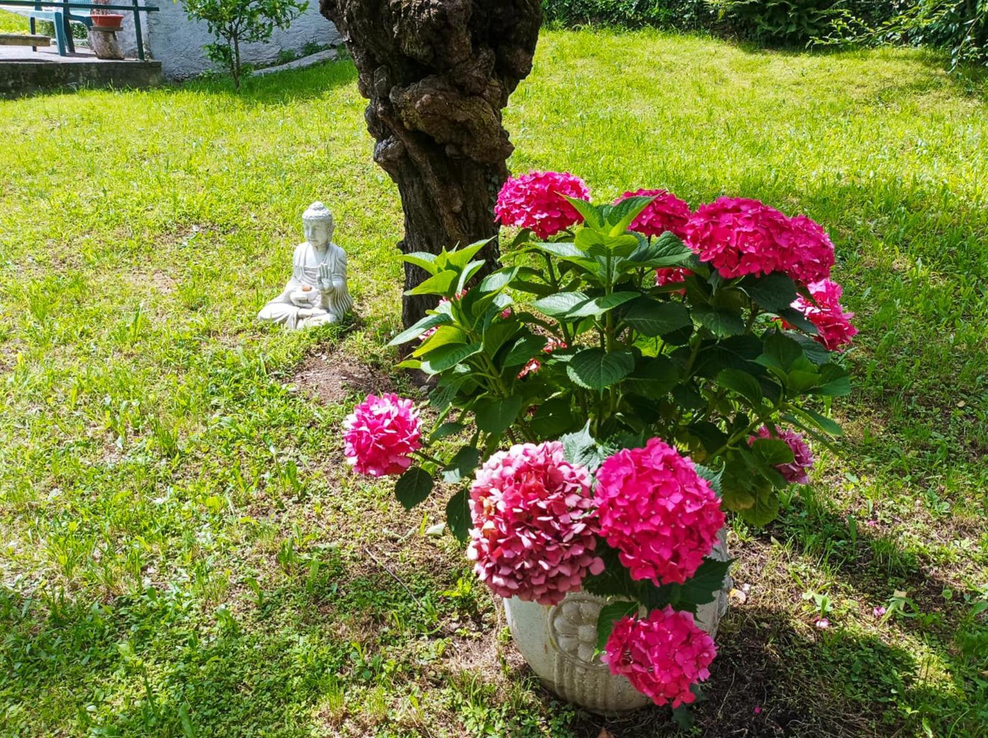 Tre Terre Ferienwohnung Pianello Del Lario Esterno foto